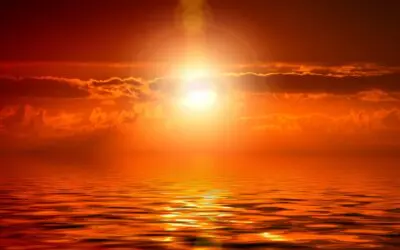 Meditation Matters. Why Are We Here?